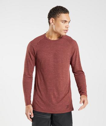 Gymshark Retake Seamless Long Sleeve Herr Rosa Bruna Svarta | SE 3649VRW